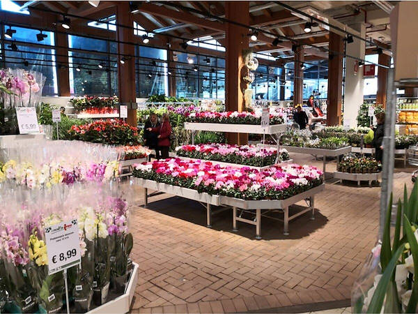 Modernisierung des Ausstellungsbereichs für Pflanzen und Blumen 