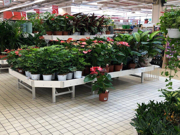 Línea de muebles en madera blanqueada