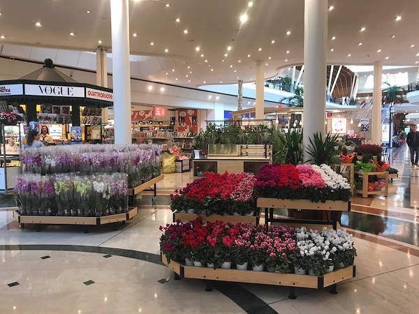 île expositive dans la galerie commerciale