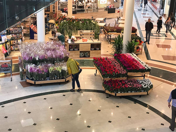 île expositive dans la galerie commerciale