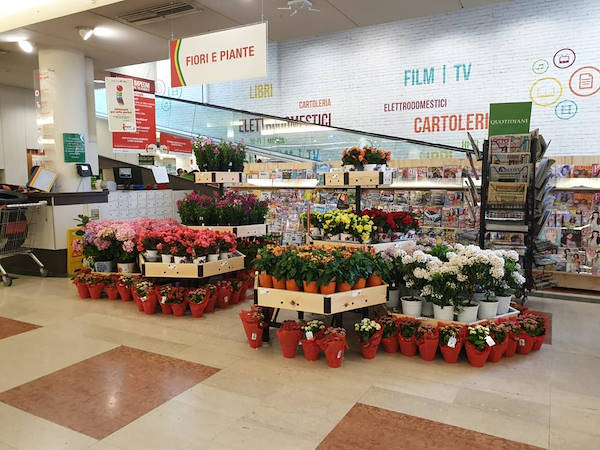 Ligne AMOR pour la fleuristerie-kiosque