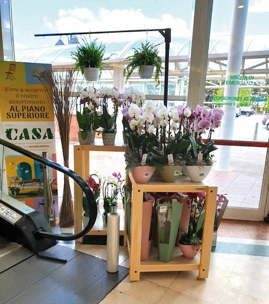 Ligne AMOR pour la fleuristerie-kiosque