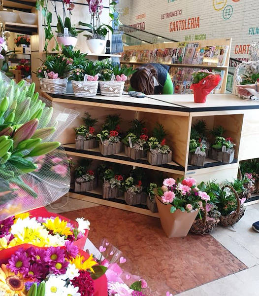 Ligne AMOR pour la fleuristerie-kiosque