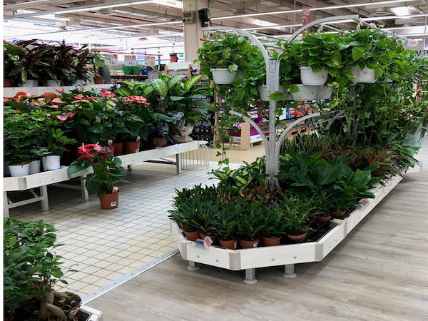 Ligne de mobilier en bois blanchi