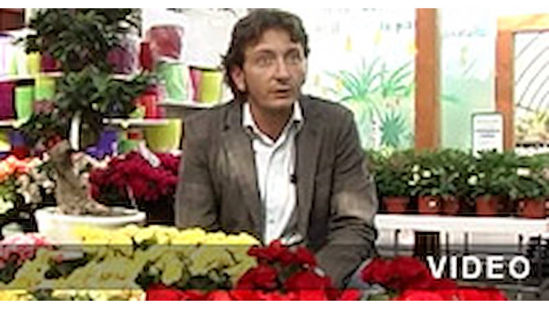 Organizzazione Orlandelli presentation video