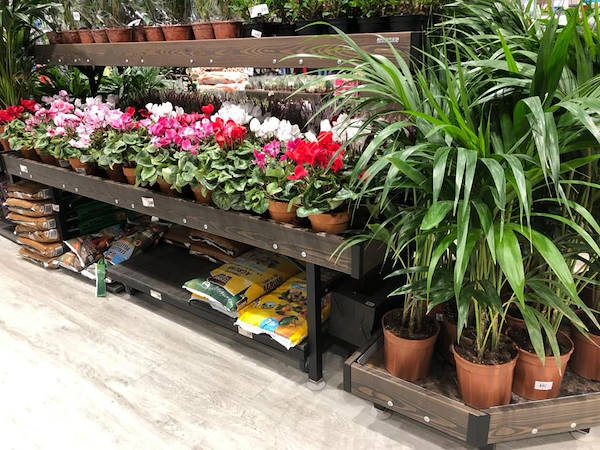 Color customization of the AMOR wood line