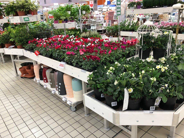 Furniture line in white wood