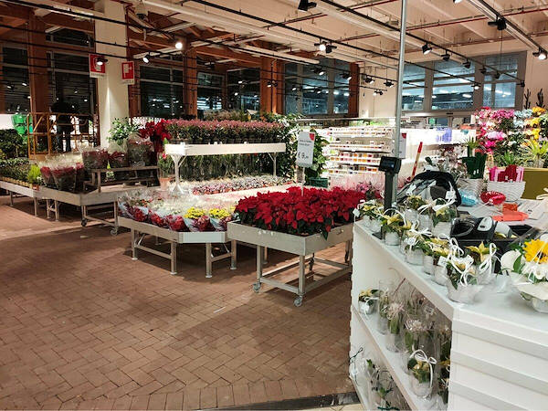 Modernization of plants and flowers exhibition area