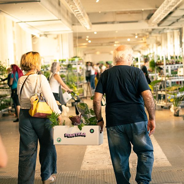 Orlandelli y Piantala: El mobiliario para vivir la jungla en la ciudad