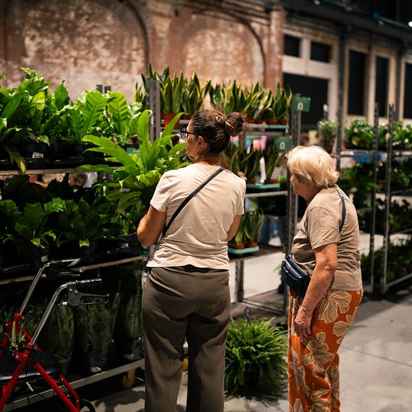 Orlandelli y Piantala: El mobiliario para vivir la jungla en la ciudad