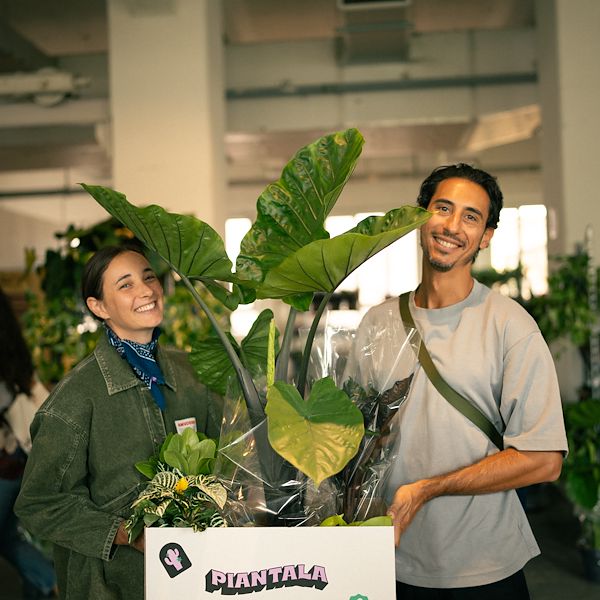 Orlandelli et Piantala : Le mobilier pour vivre la jungle en ville