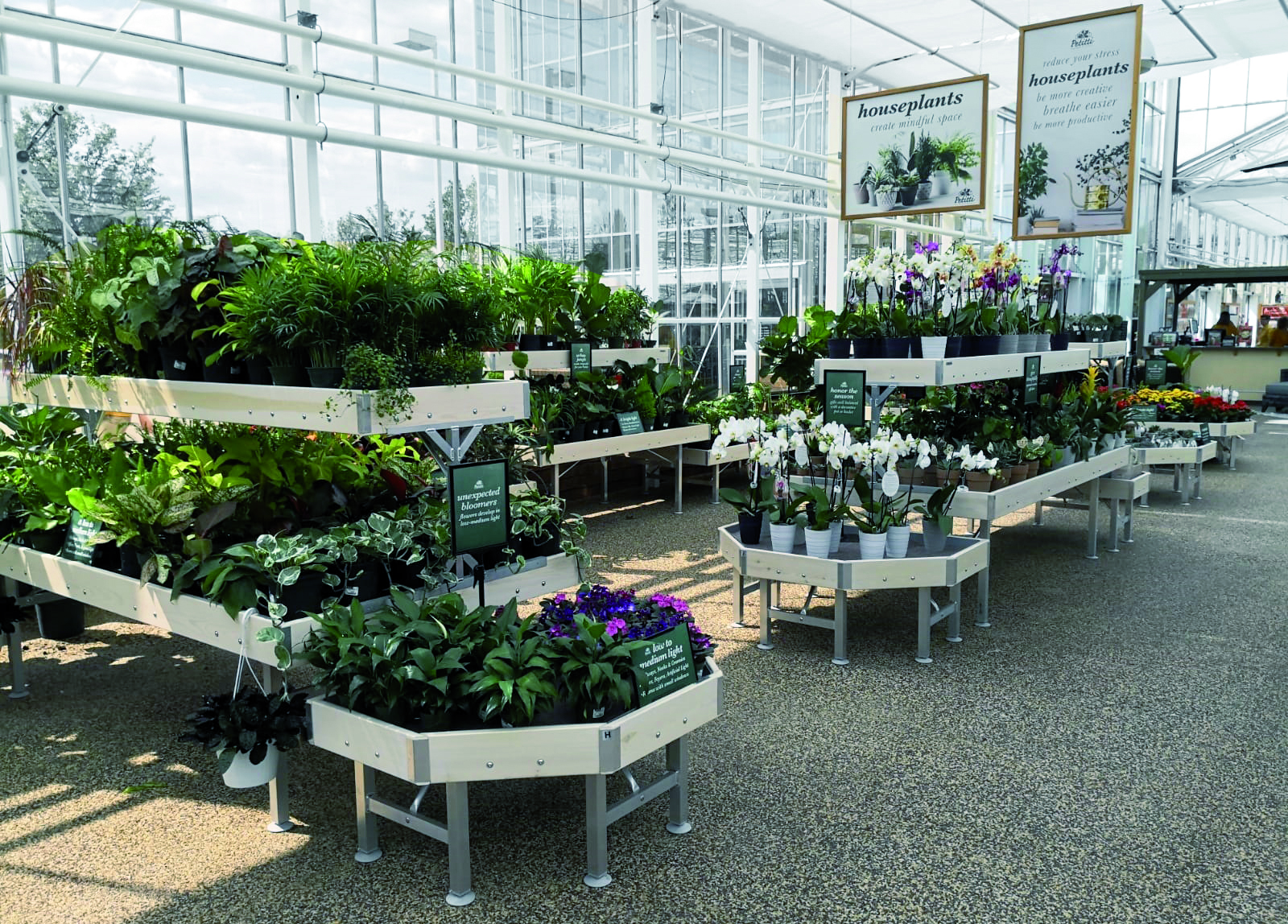 Inspiración | Proyecto | Renovación