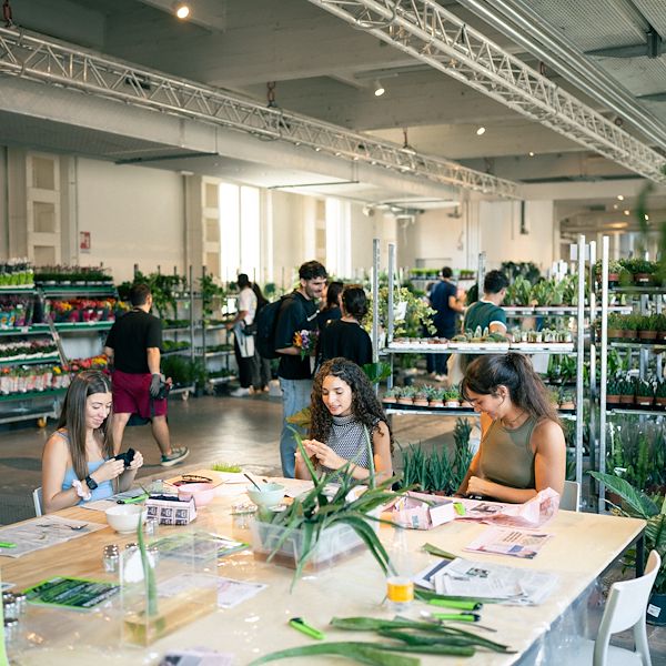 Orlandelli and Piantala: Furniture to live the urban jungle