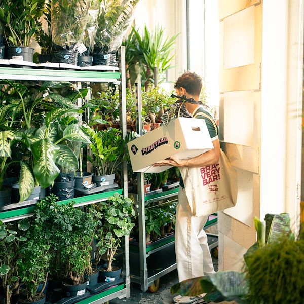 Orlandelli and Piantala: Furniture to live the urban jungle