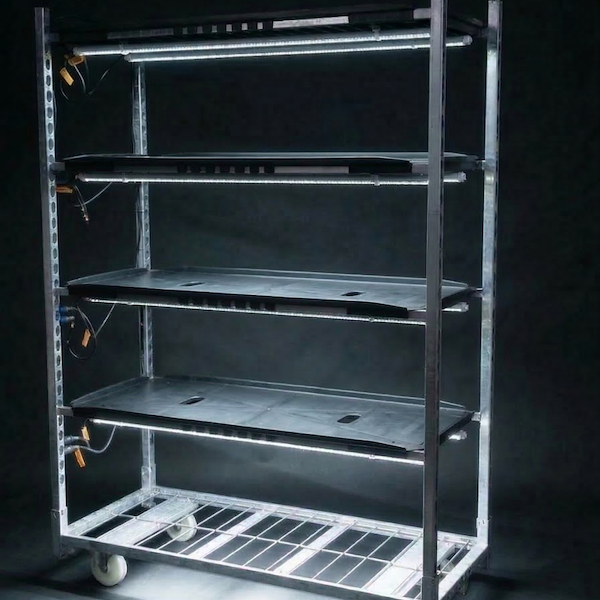 Gitterwagen 1350 mit TUBE WHITE PAR LED-Keimungsleuchten