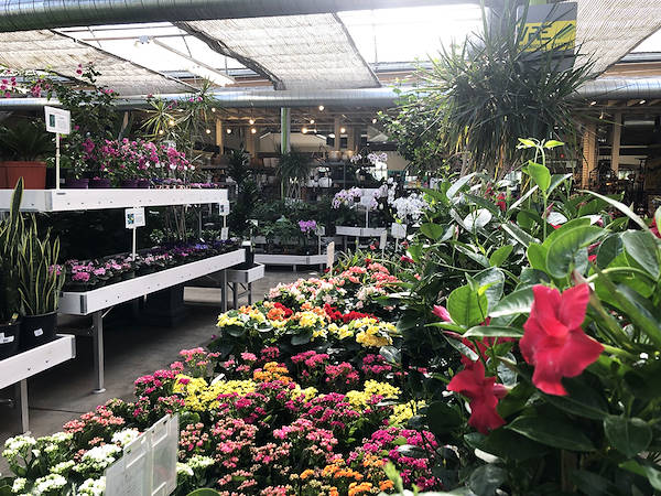 Orlandelli's Ausstellungslösungen ausgewählt für die Auffrischung des Look&Feel von Minter Country Garden