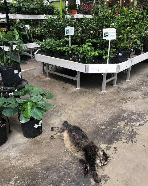 Orlandelli's exhibiting solutions chosen for freshening up Minter Country Garden's look & feel