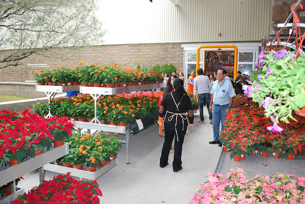 Galerie Home Depot Messico