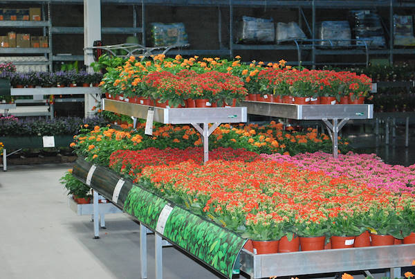 Galerie Home Depot Messico