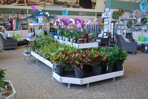 Ouverture des nouveaux Garden Center Petitti