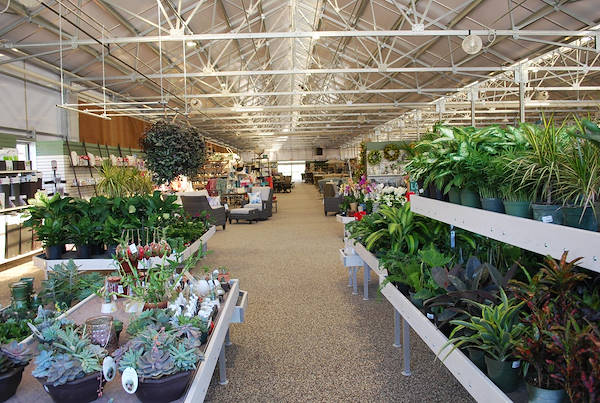 Ouverture des nouveaux Garden Center Petitti