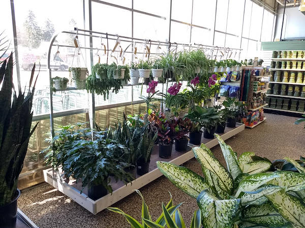 Ouverture des nouveaux Garden Center Petitti