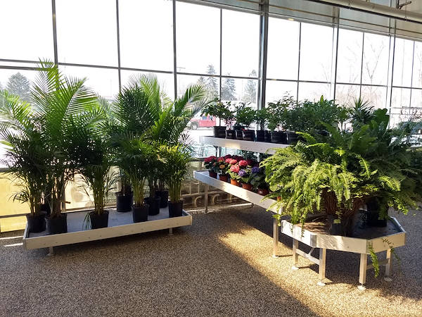 Ouverture des nouveaux Garden Center Petitti