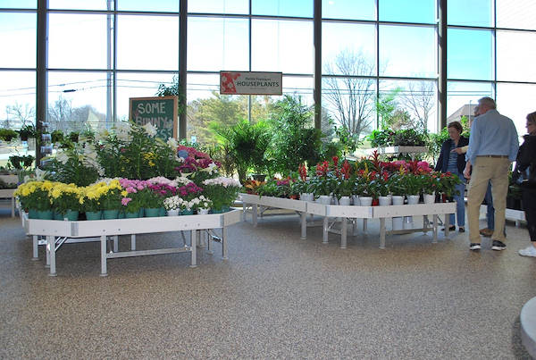 Ouverture des nouveaux Garden Center Petitti