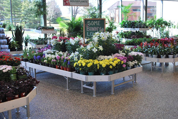 Ouverture des nouveaux Garden Center Petitti