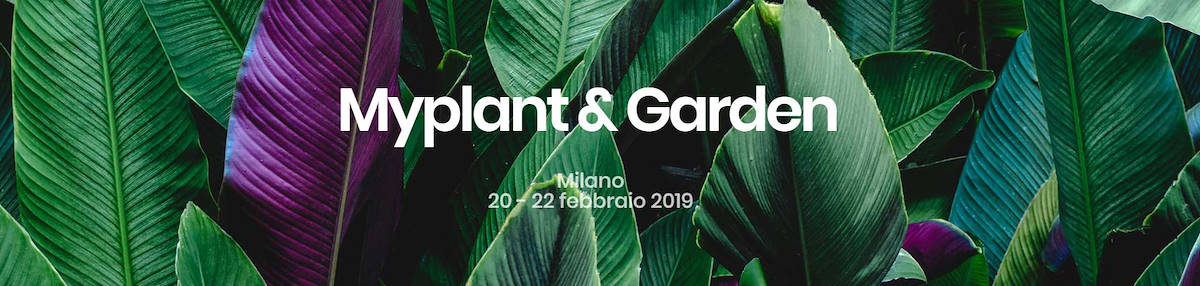 ORGANIZZAZIONE ORLANDELLI SRL - Pad 16 Stand H25