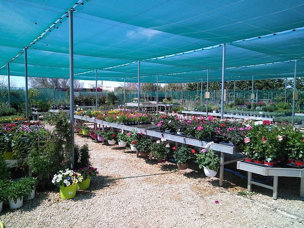 Pépinière La Roubine - Arles