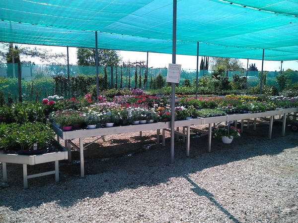 Pépinière La Roubine - Arles