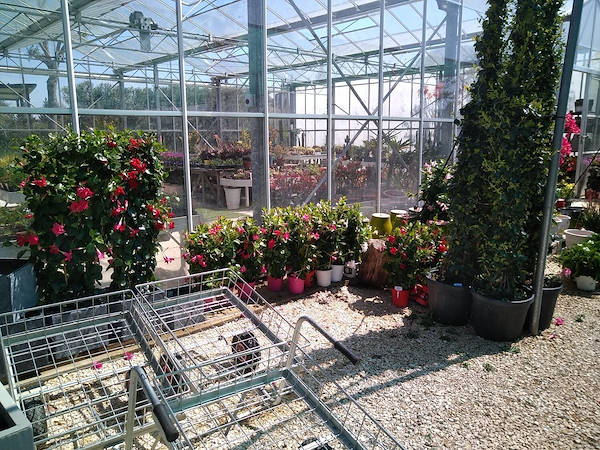 Pépinière La Roubine - Arles