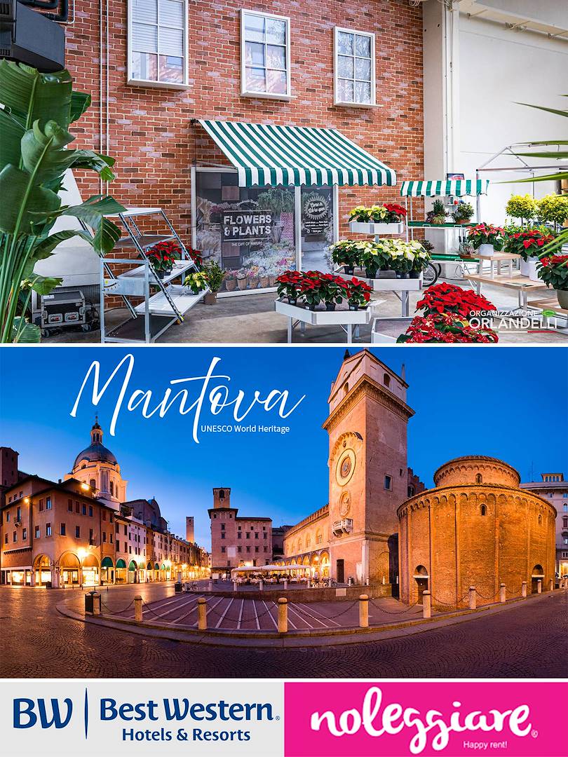Planen Sie die Zukunft Ihres Geschäfts mit uns: Besuchen Sie unseren Showroom in Mantua