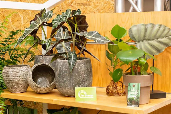 Plantarium
