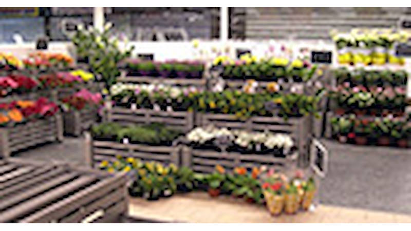 Point de vente plantes et fleurs à Palazzolo (BS)