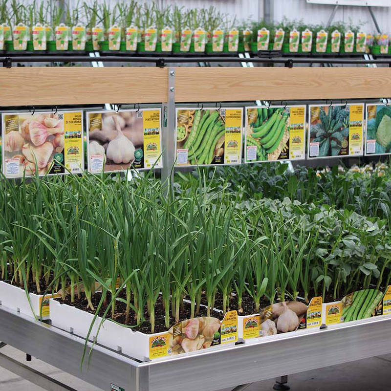 Porta gráfica en madera con soporte regulable en altura