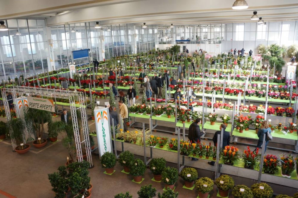 Portes ouvertes à Flormercati