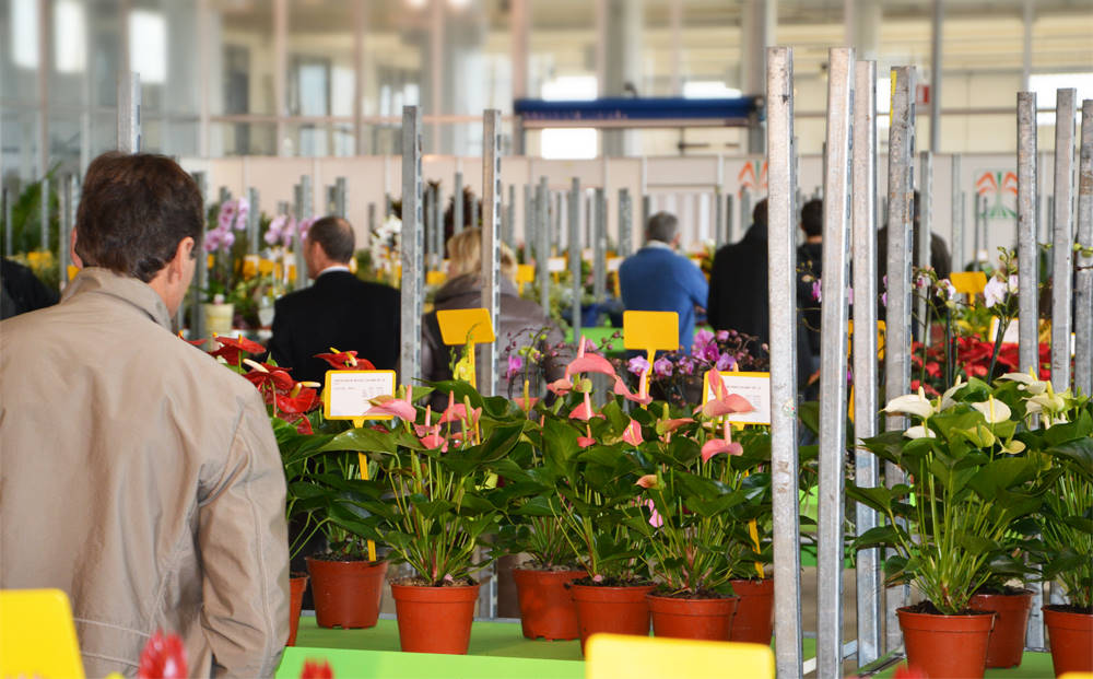 Portes ouvertes à Flormercati