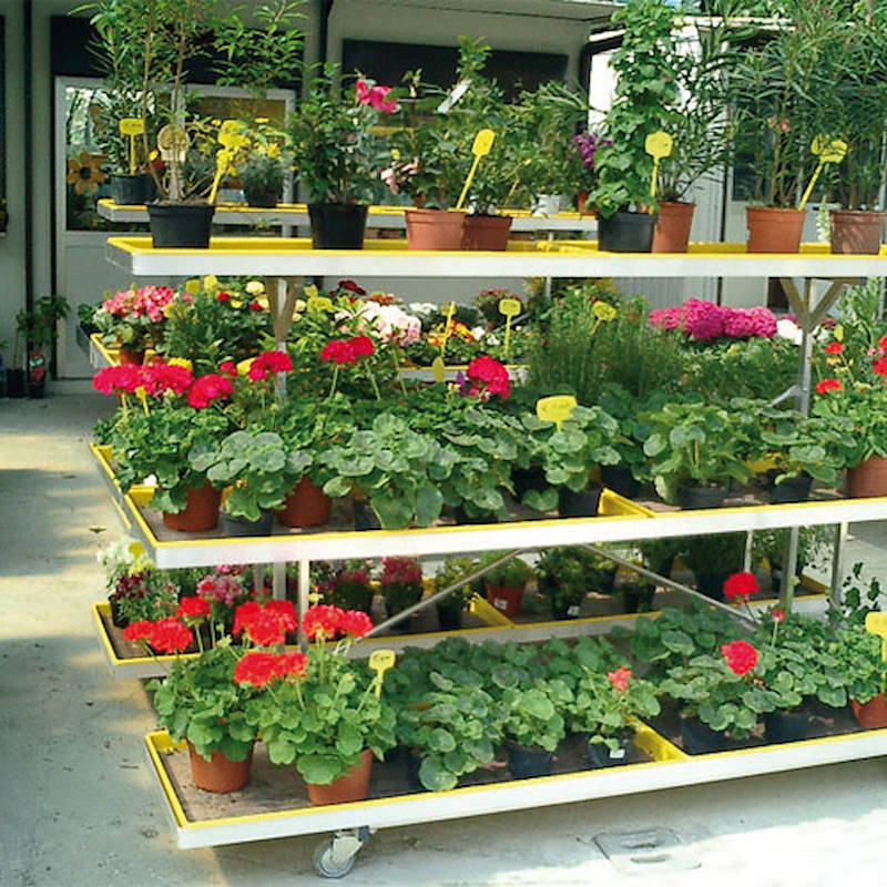 Présentoir à paroi