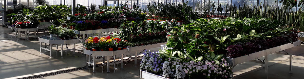 Dimensions des présentoirs