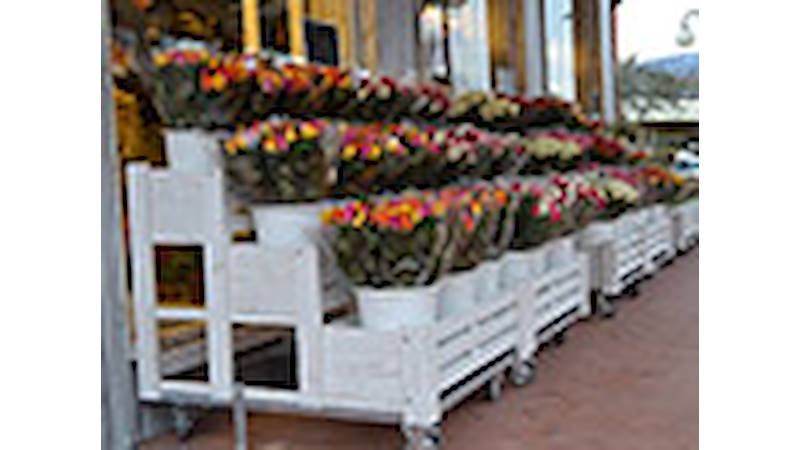 Réalisation magasin “Fiori Fiori” – Borgo Buggiano