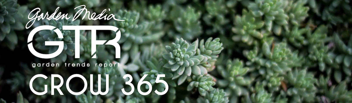 Recherche Tendance Jardins 2017