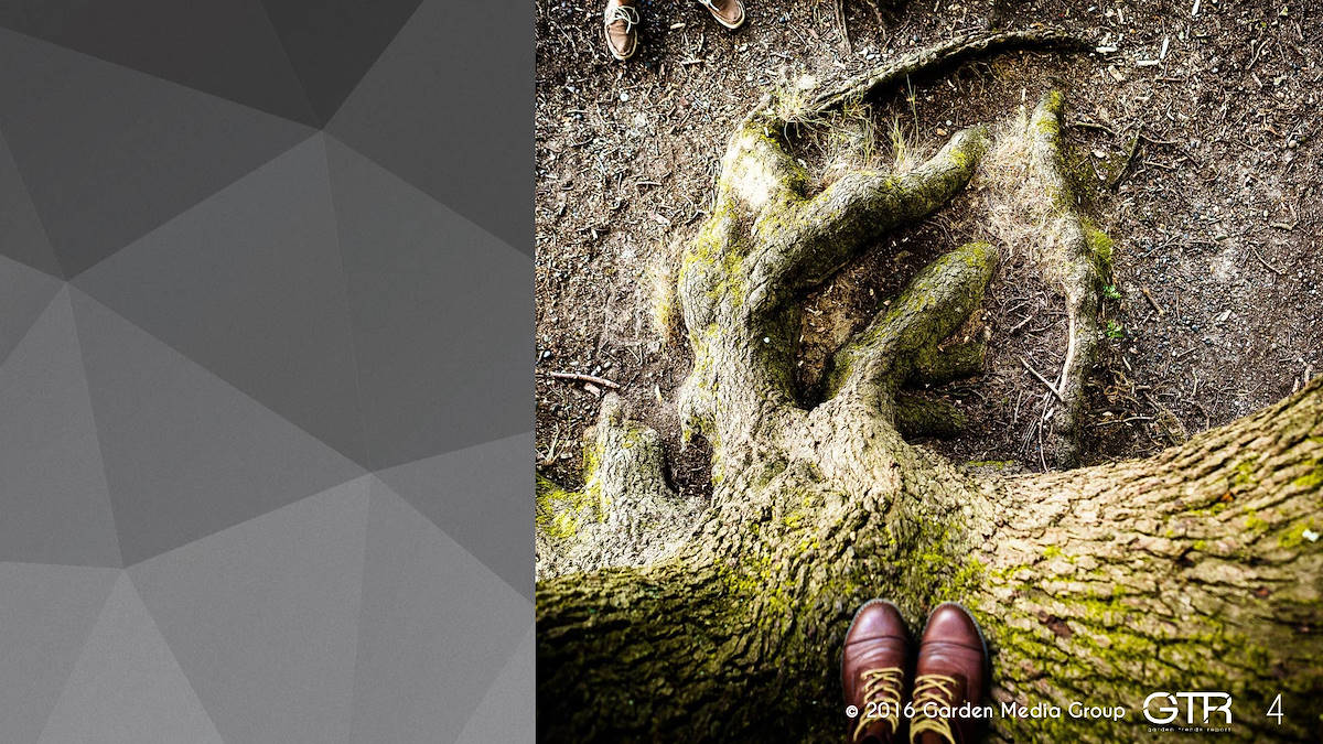 Recherche Tendance Jardins 2017