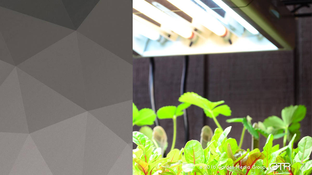 Recherche Tendance Jardins 2017