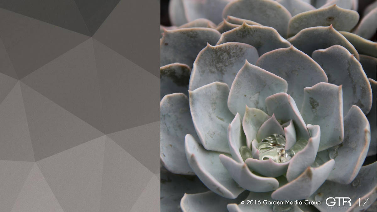 Recherche Tendance Jardins 2017