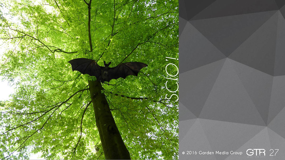 Recherche Tendance Jardins 2017