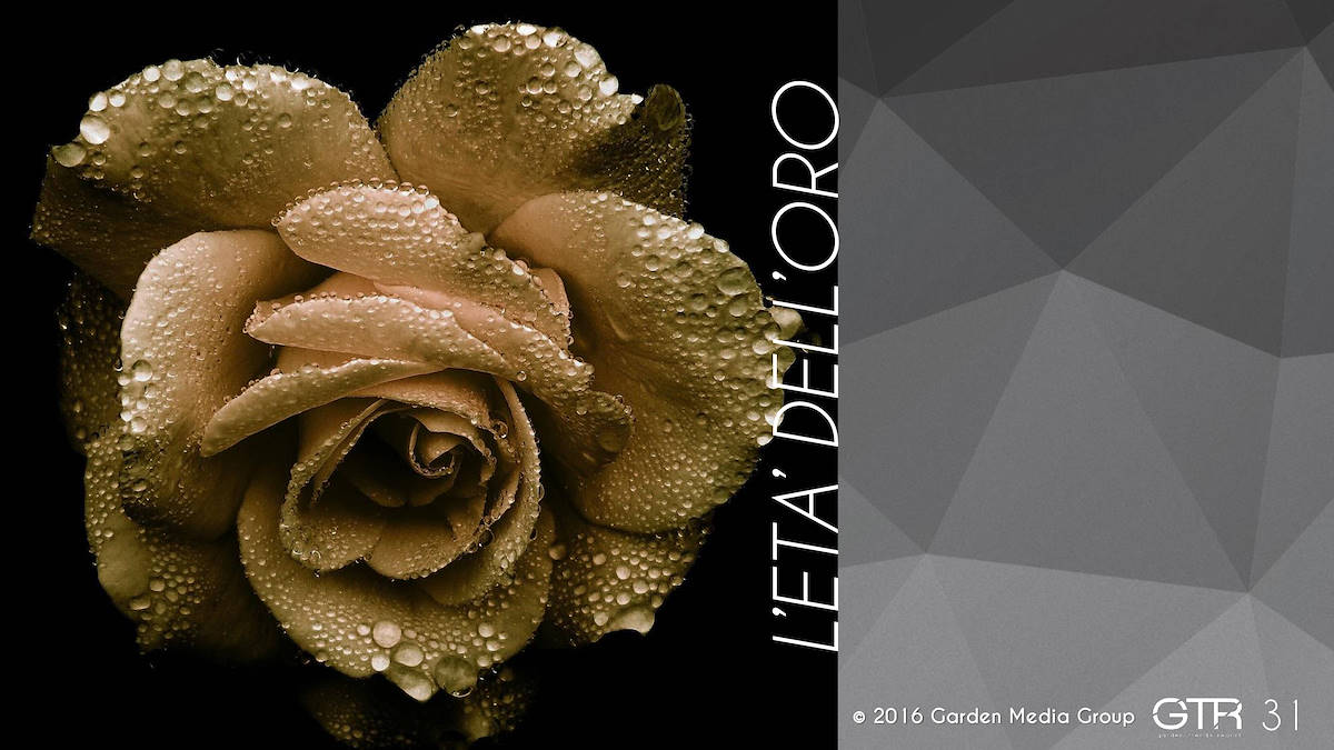 Recherche Tendance Jardins 2017