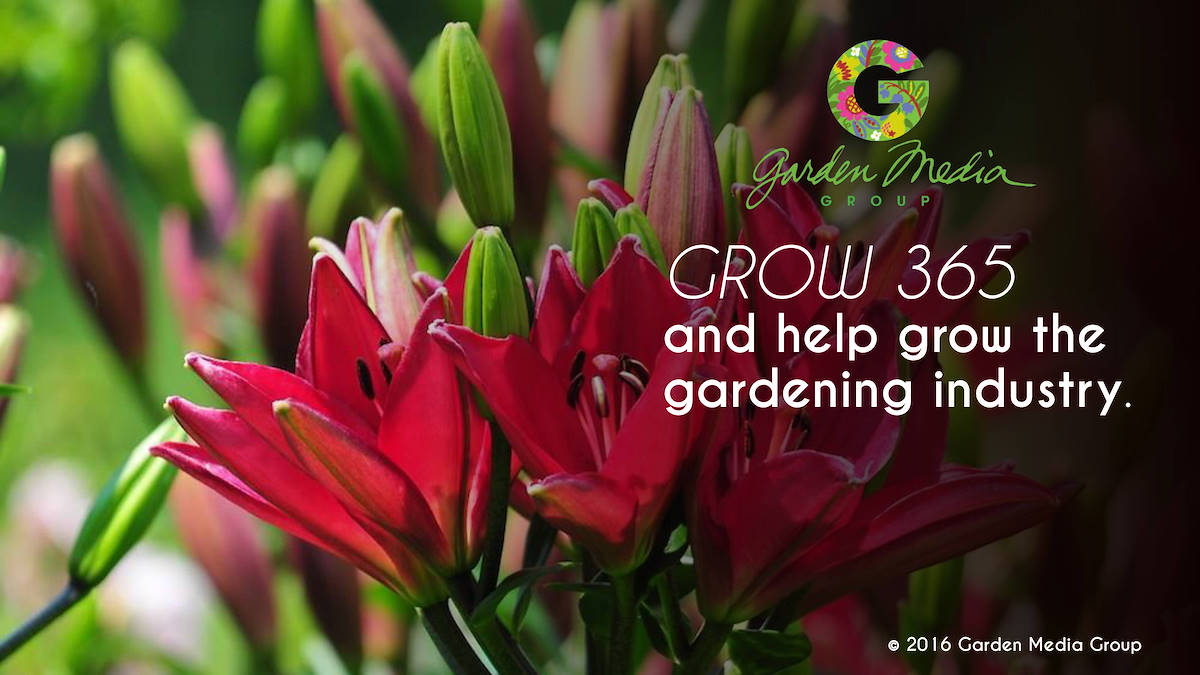 Télécharger & Crédits