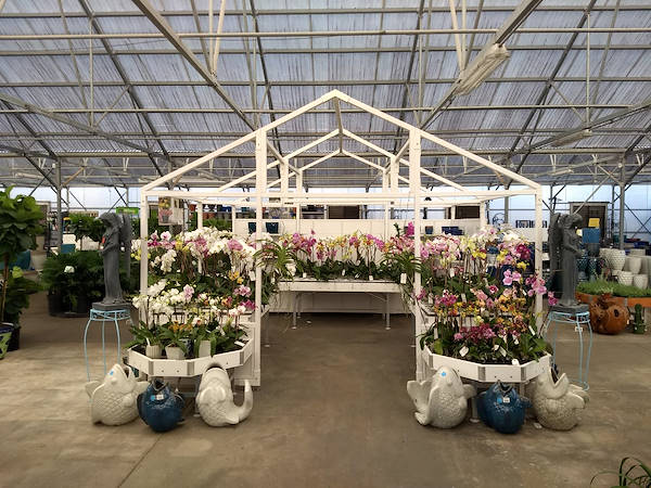 Retail Renaissance: Turner Garden renovates their Greenhouse to drive sales for 2021